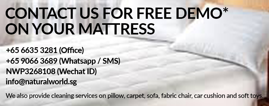 Mattress Cleaning Demo