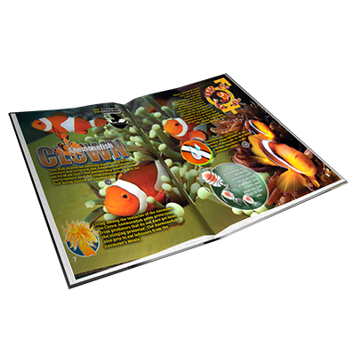 Popar Sea Life Smart Book / Toy / Chart / Puzzle - Natural World